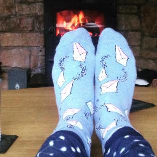 socks cosy